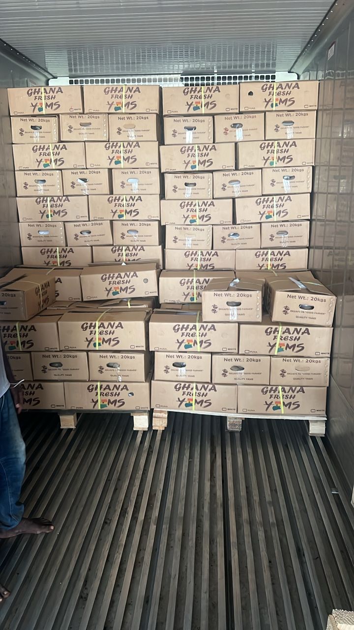 Pallets of Ghana Fresh Yams cartons loaded inside reefer container